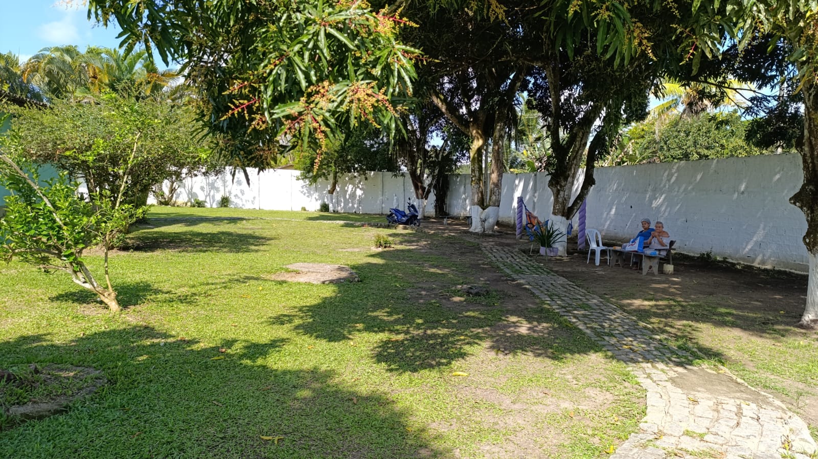 Imagem 4